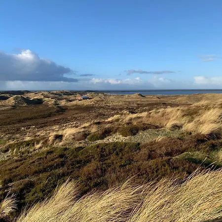 Strandgut Auf Sylt Westerland