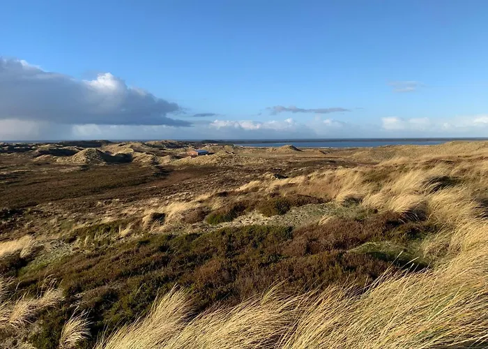 Strandgut Auf Sylt Westerland